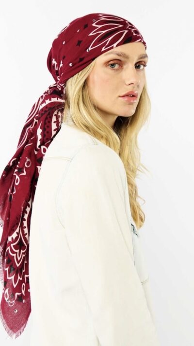 paisley big bordeaux 2