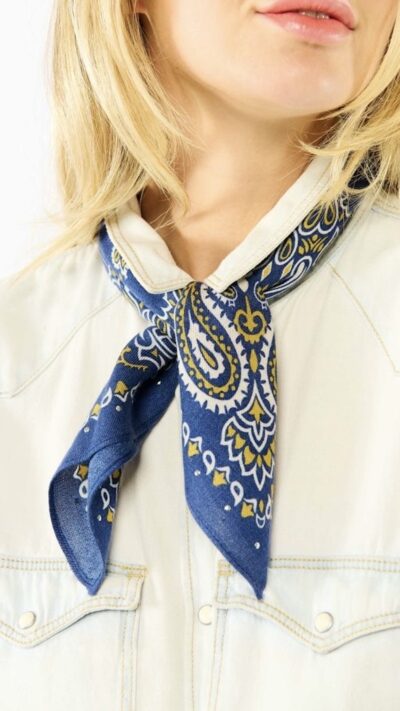 paisley mini bleu 1